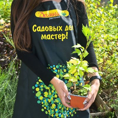 Гибискус сирийский Флауэр Тауэр Уайт Гибискус сирийский Флауэр Тауэр Уайт - Dolina-Sad.Ru