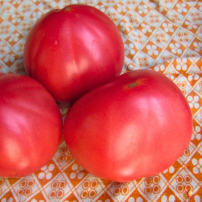 Томат Бабушкина радость автор. Томат Бабушкина радость автор. - Dolina-Sad.Ru