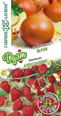 Лук репч. Бычок + Земляника Александрия Лук репч. Бычок + Земляника Александрия фото