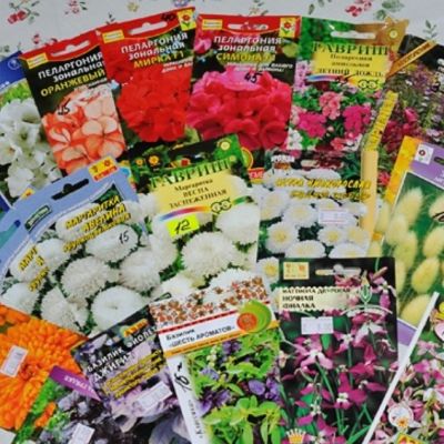 Микс из 2 упаковок семян фото