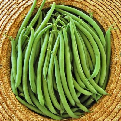 Фасоль Малахит фото