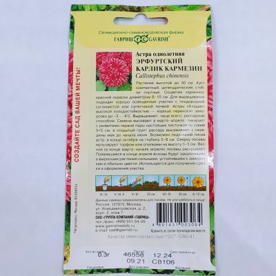 Астра Эрфуртский Карлик Кармезин Астра Эрфуртский Карлик Кармезин - Dolina-Sad.Ru