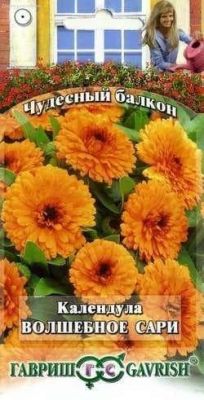 Календула Абрикосовый джем "Чудесный балкон" Календула Абрикосовый джем "Чудесный балкон" фото