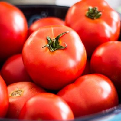 Томат Бабушкина радость автор. Томат Бабушкина радость автор. - Dolina-Sad.Ru