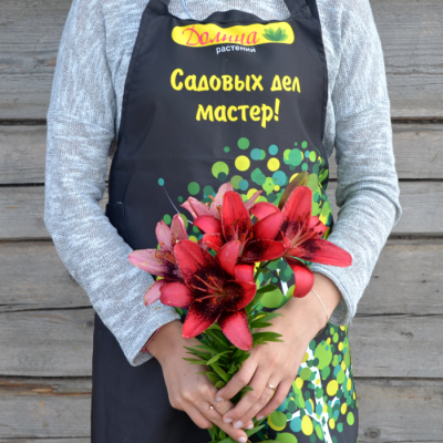 Лилия Пурпл Дрим Лилия Пурпл Дрим - Dolina-Sad.Ru