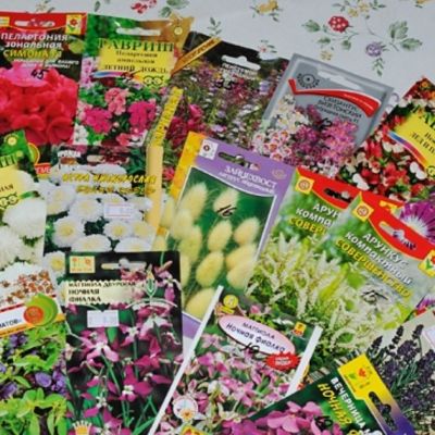 Микс из 2 упаковок семян фото